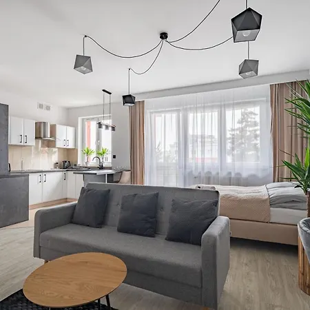Grelewicz Apartments- Myway Stary Toruń Exteriér fotografie